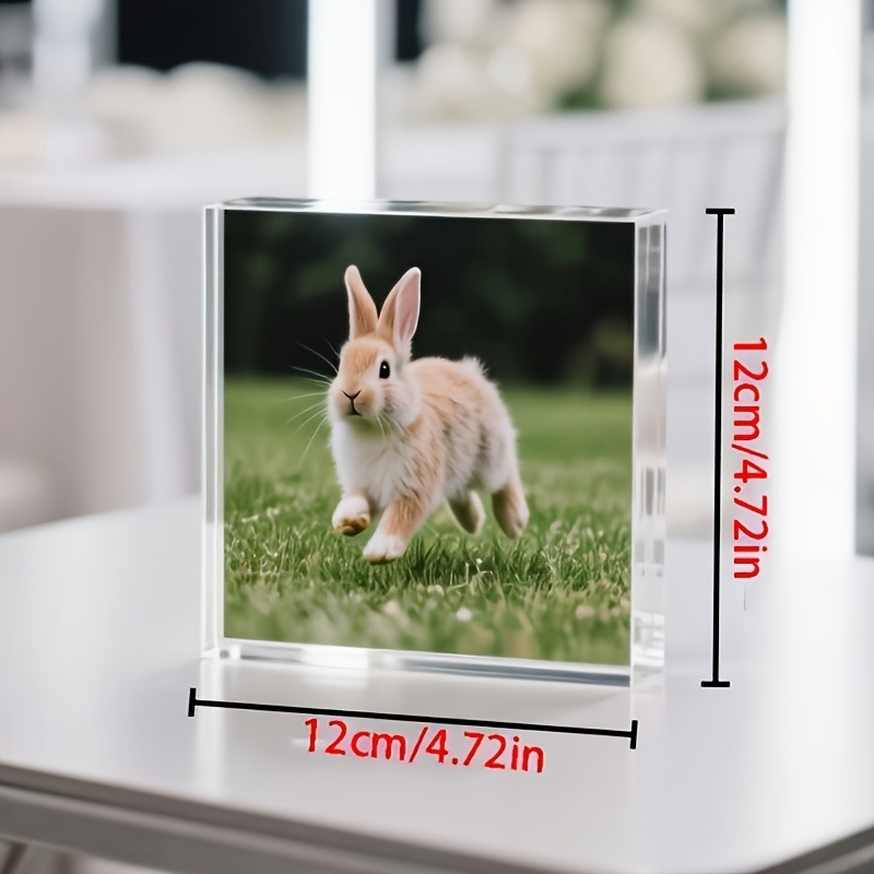 1PC Foto Personalizada em Acrí - Photo Acrylic Block avaliação e preço